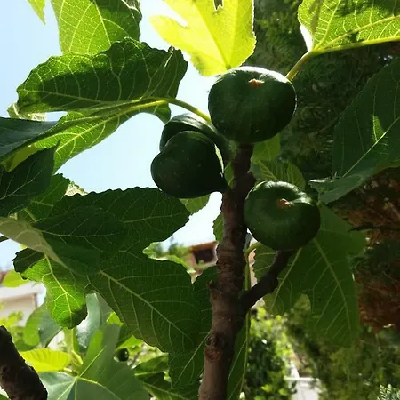 Koren Διαμέρισμα Malinska